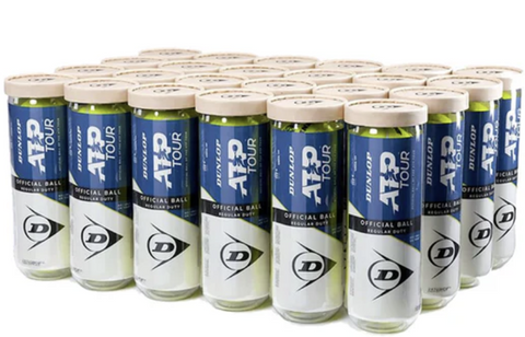 Dunlop ATP Extra Duty Tennis Ball 24 Can Case